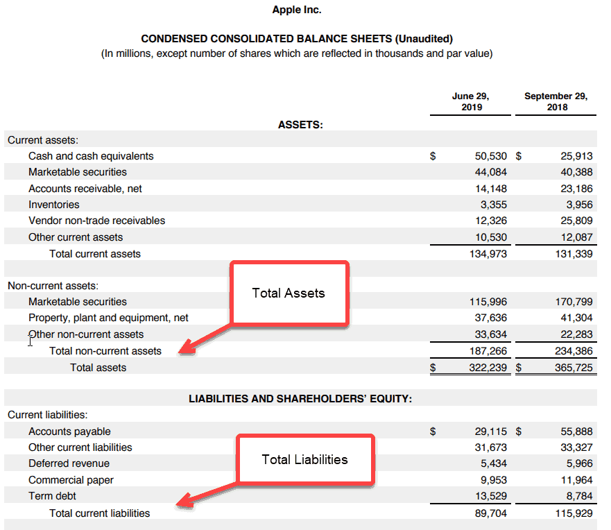 Shareholders Equity (Definition, Equation, Ratios, Examples)